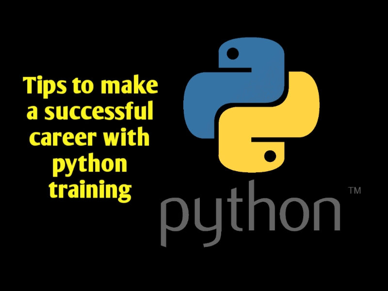 Tips to make a successful career with python training